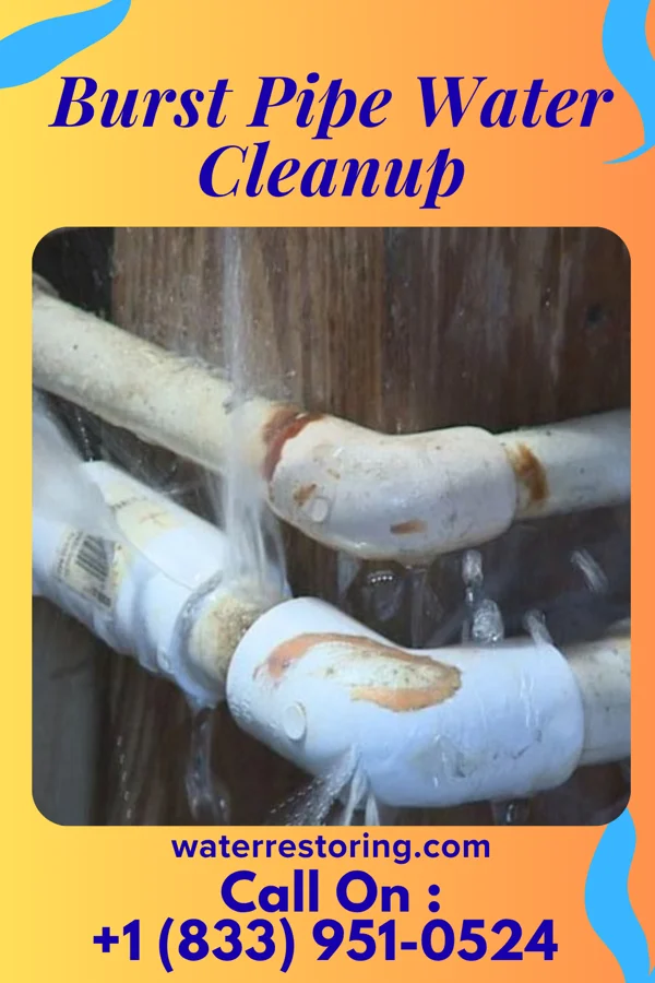 Burst Pipe Water Cleanup in Pleasant Grove, OH
