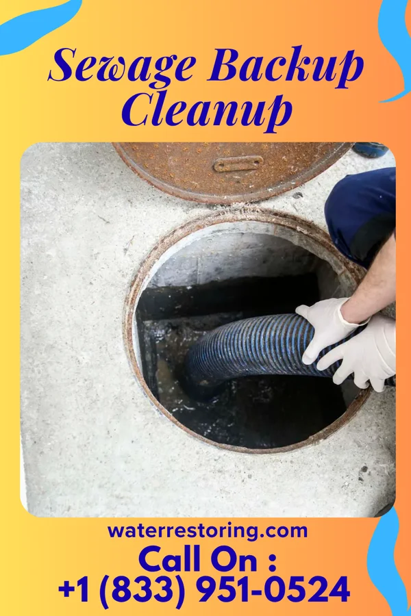 Sewage Backup Cleanup in Pleasant Grove, OH