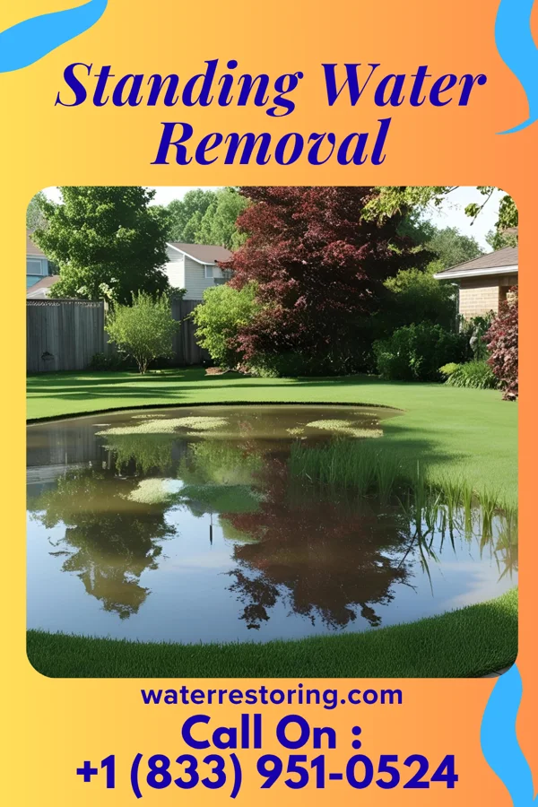 Standing Water Removal in Pleasant Grove, OH